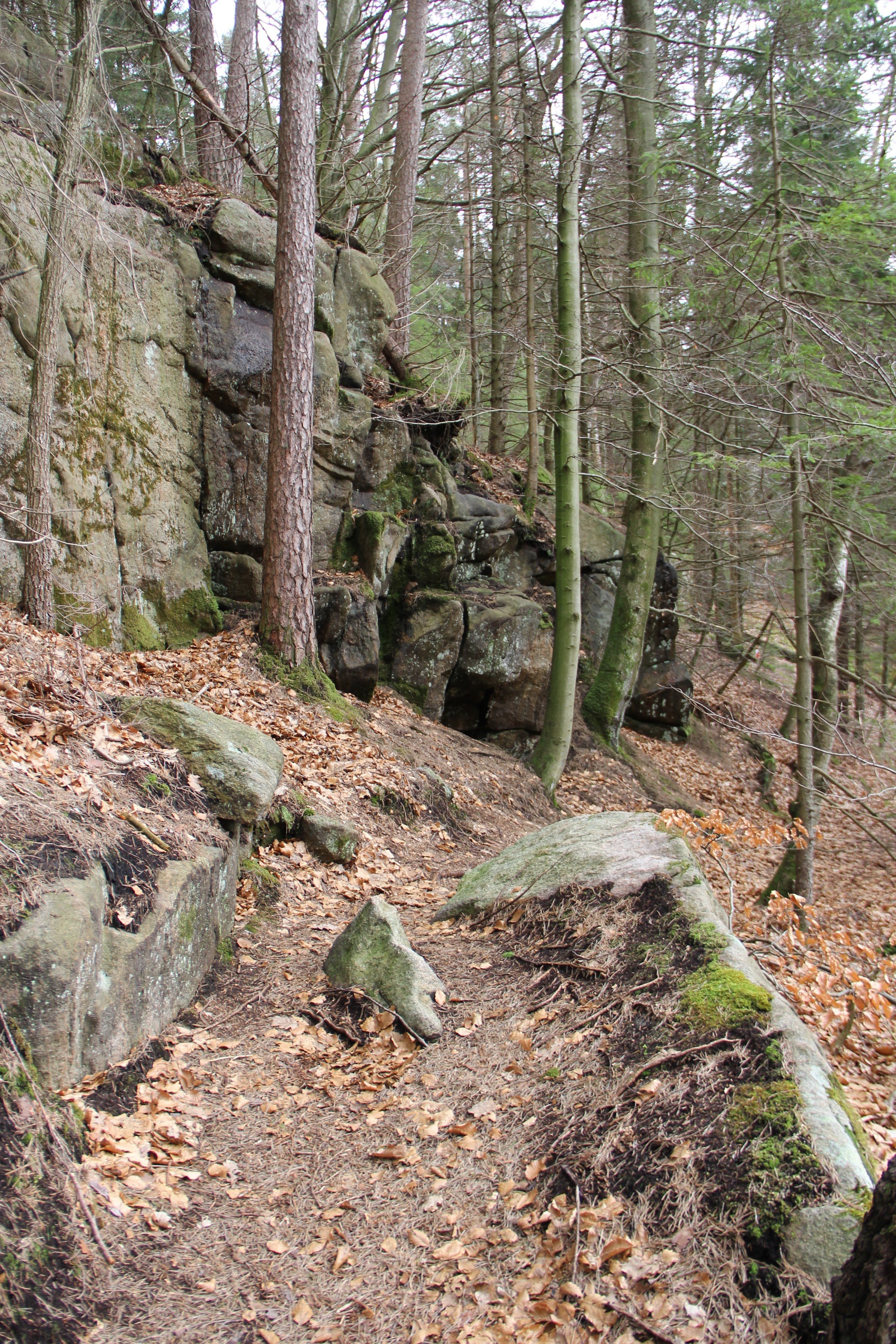 Biskopstorps naturreservat